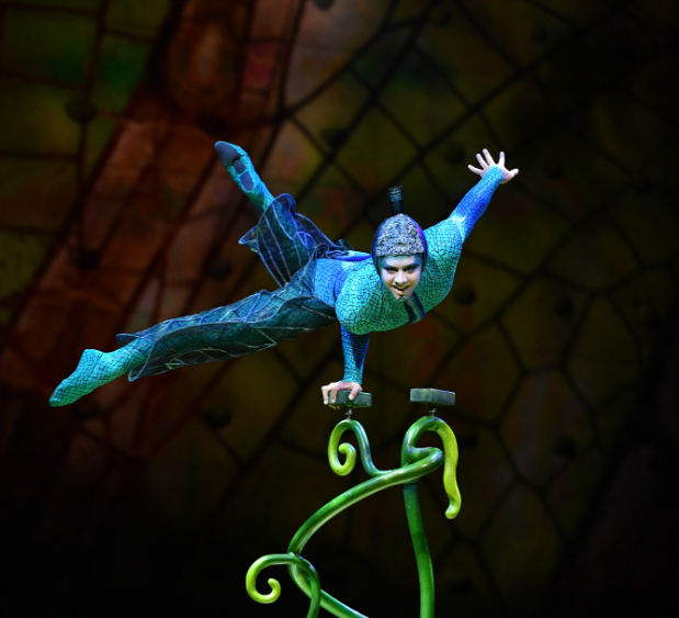 cirque-du-soleil-acrbata.png
